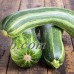 Italian Striped Zucchini Summer Squash Garden Seeds - 1 Lbs - Non-GMO, Heirloom - Vegetable Gardening Seed   566864458